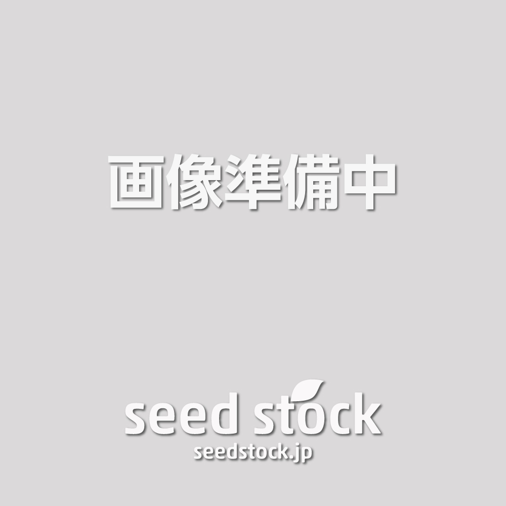 [種子] ユッカ バッカタ Yucca baccata